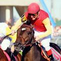 2004toddkabelhorseracing