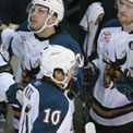 ManitobaMoose2009hockey